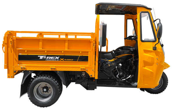 TREX FULL AMARILLO HORIZONTAL