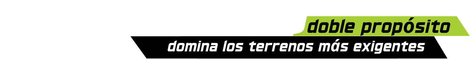 TRX 250 LOGO HERO LANDING